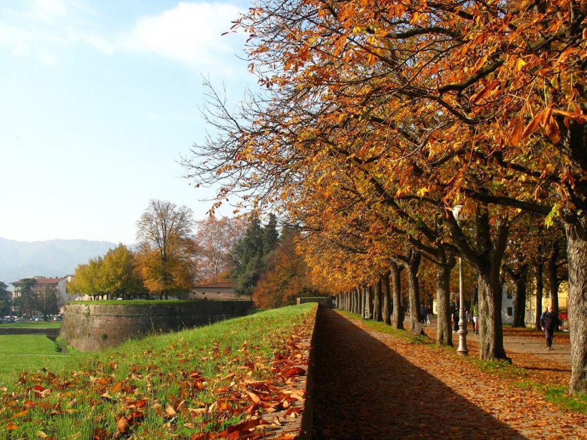 Villa Grespola Lucca Exteriör bild